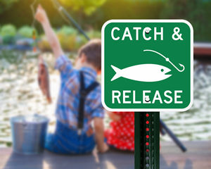 Fishing Sign