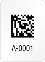 Rectangular 2D Custom Template  Barcode