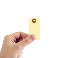 Manila 10 point Cardstock Tags